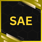 Style SAE dans l'expérience Roblox de revanche égoïste.