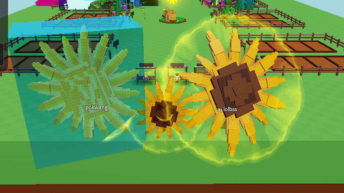 Trois tournesols à cultiver un jardin