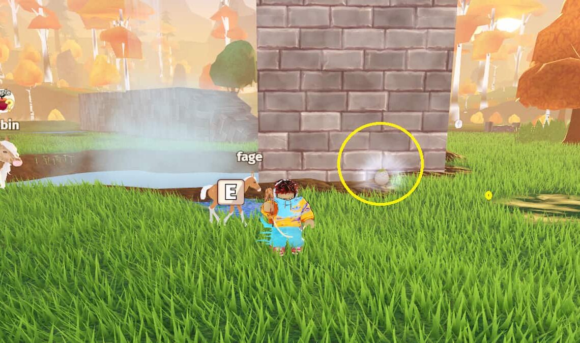 An Earth Egg in Horse Life