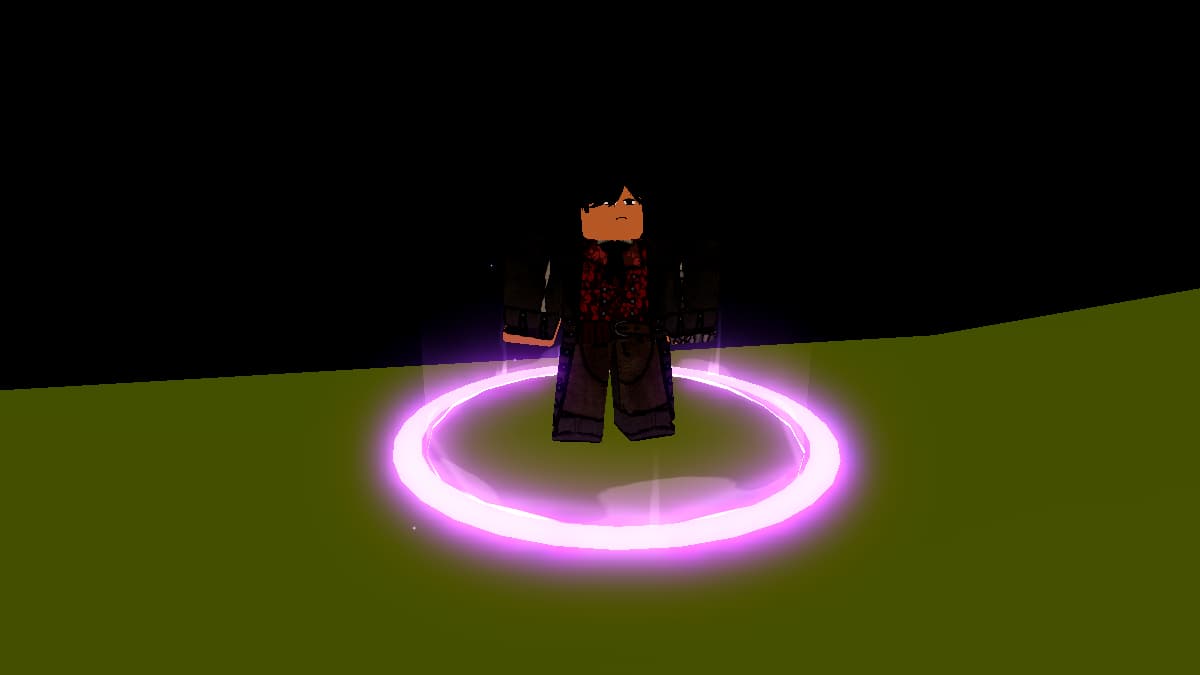 Professeur de flash-stage en mer vox