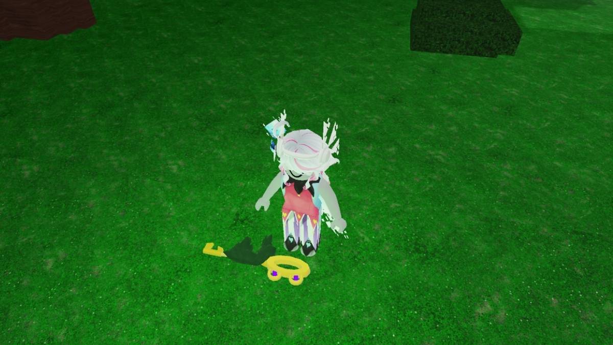 Clés de grenouille dans la forêt