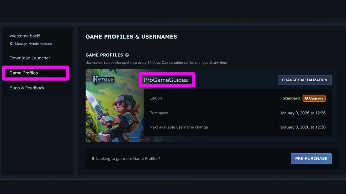 Création de nom d'utilisateur Hytale