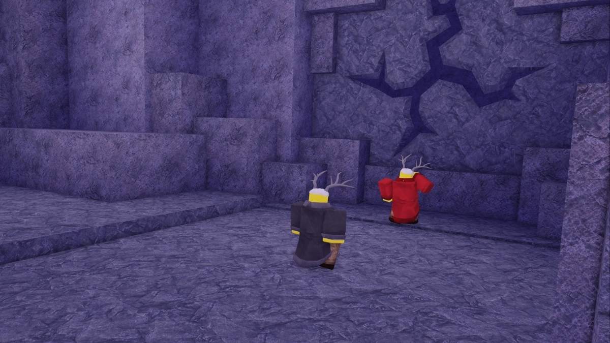 Explorer la grotte dans 99 nuits dans la forêt