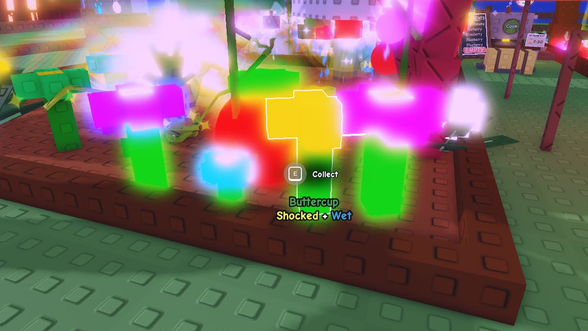 Les plantes de renoncule dans GAG