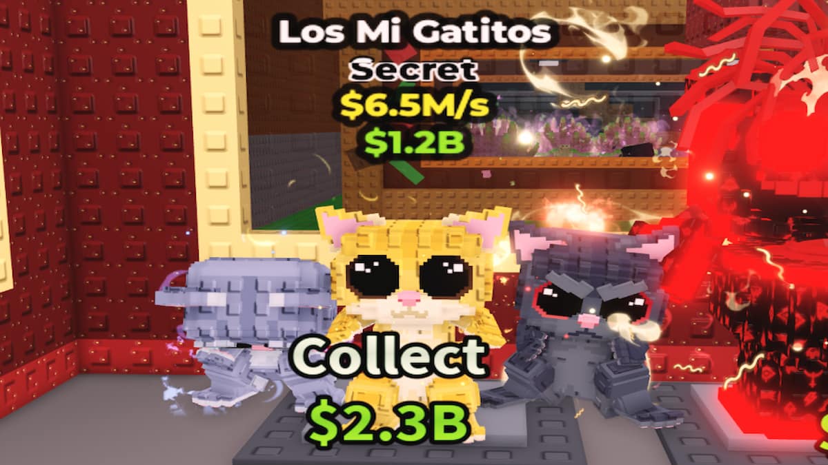 Le brainrot de mon chat