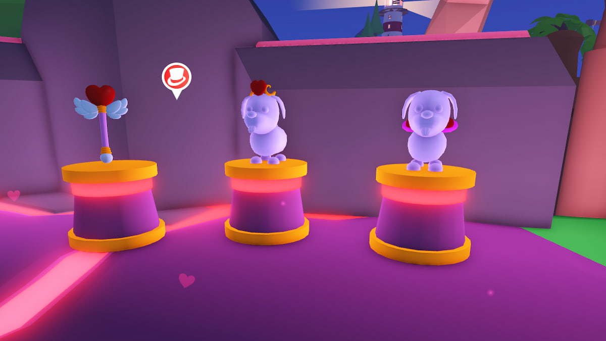 Trois animaux dans Adoptez-moi