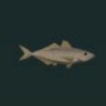 Morue des Abysses Roblox