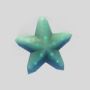 Image du jeu Étoile de Mer