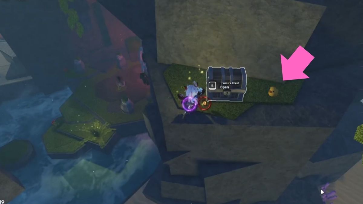 Deuxième canard à la grotte de Morveth