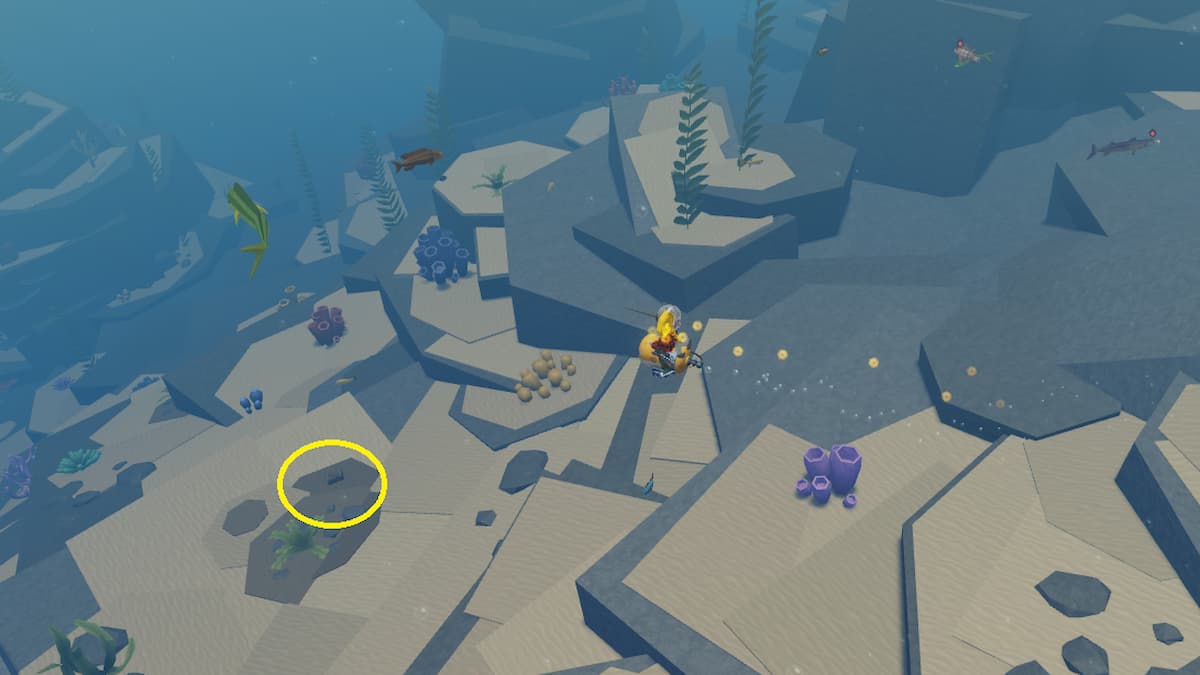 Un coffre au trésor dans les abysses