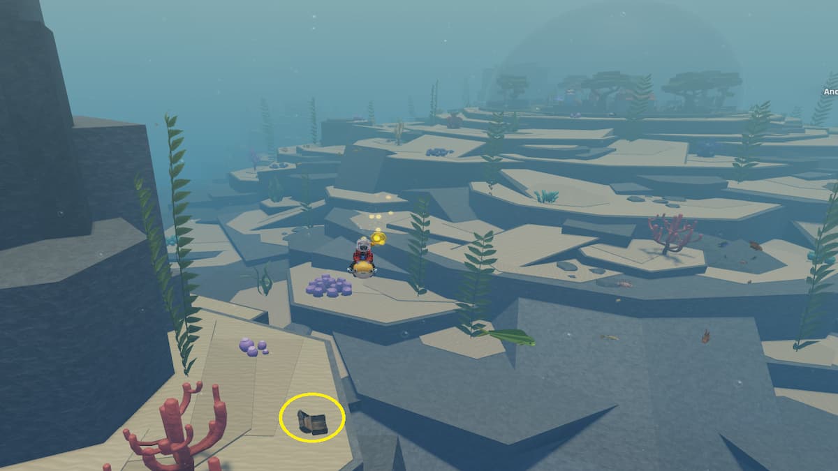 Un coffre au trésor dans les abysses