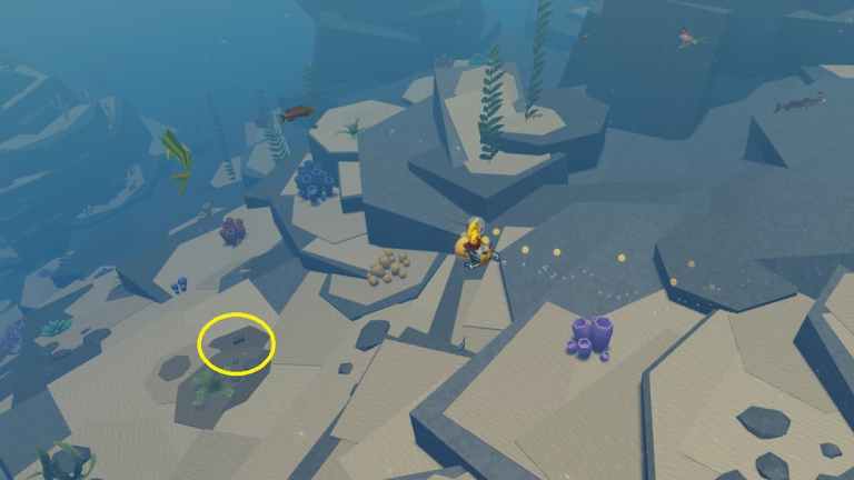 Tous les emplacements de coffres dans Roblox Abyss – Carte complète