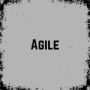 Image de jeu agile