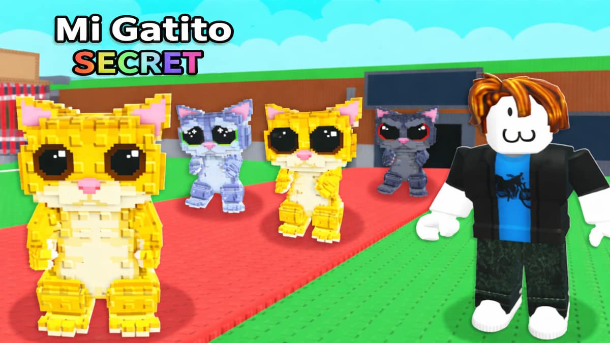 Le cerveau de Mi Gatito