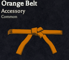 Ceinture Orange