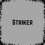 Image du jeu Striker