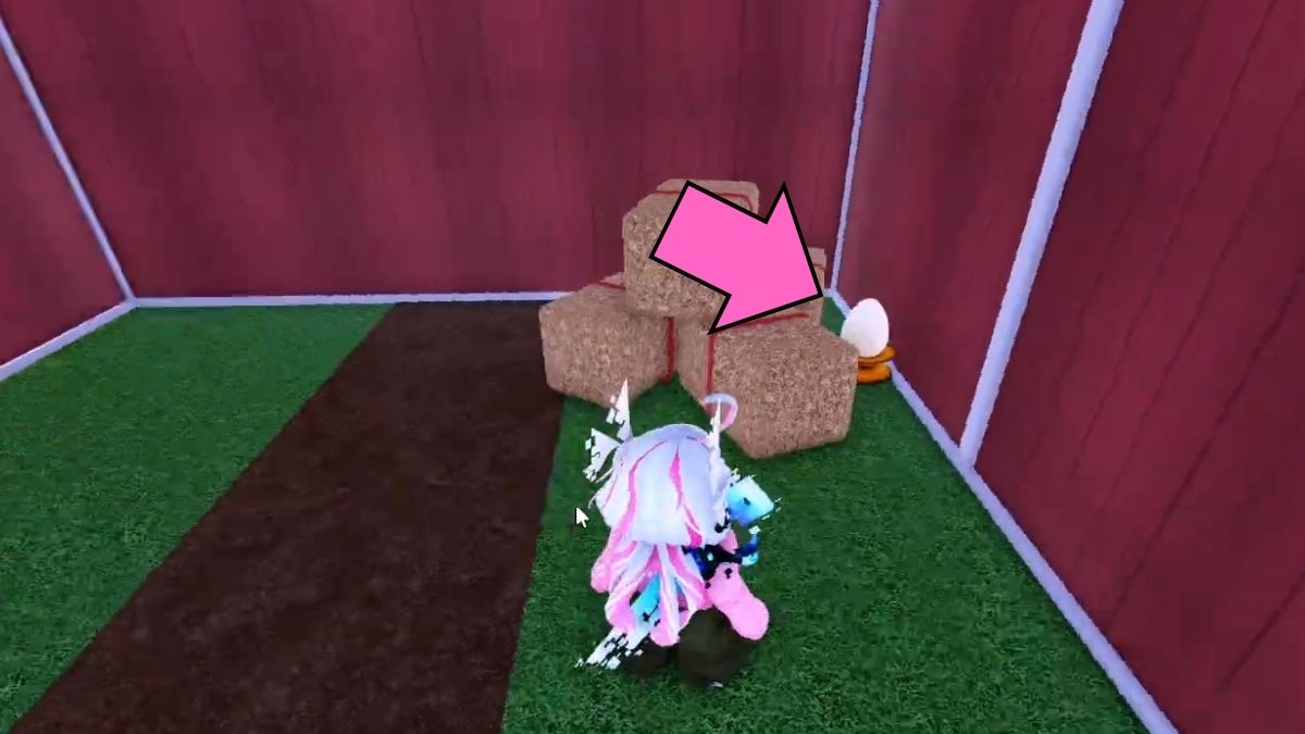 Emplacement des œufs de foin