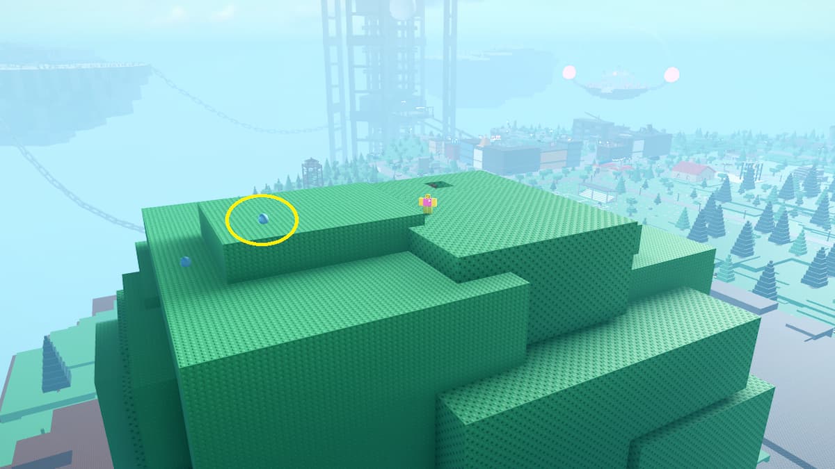 Un œuf en initiation au combat