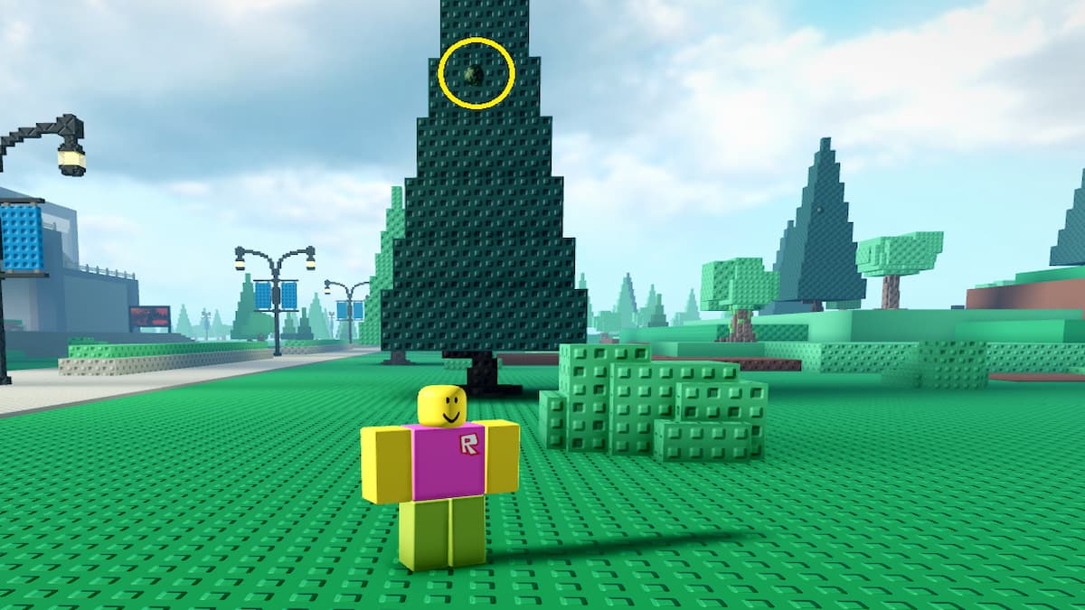 Un œuf en initiation au combat