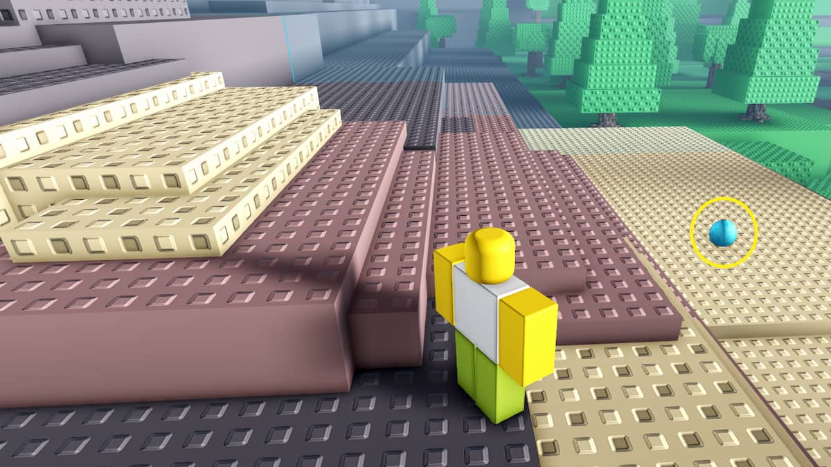 Un œuf en initiation au combat