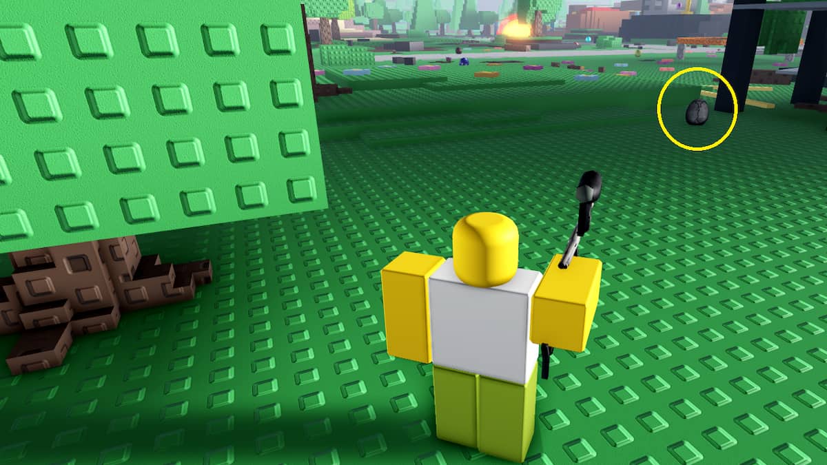 Un œuf en initiation au combat