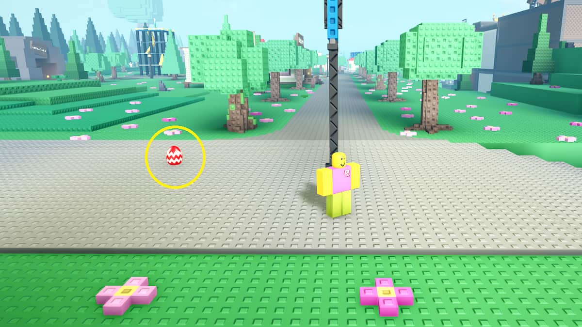 Un œuf en initiation au combat