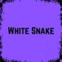 Image du jeu Serpent Blanc