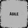 Image de jeu agile