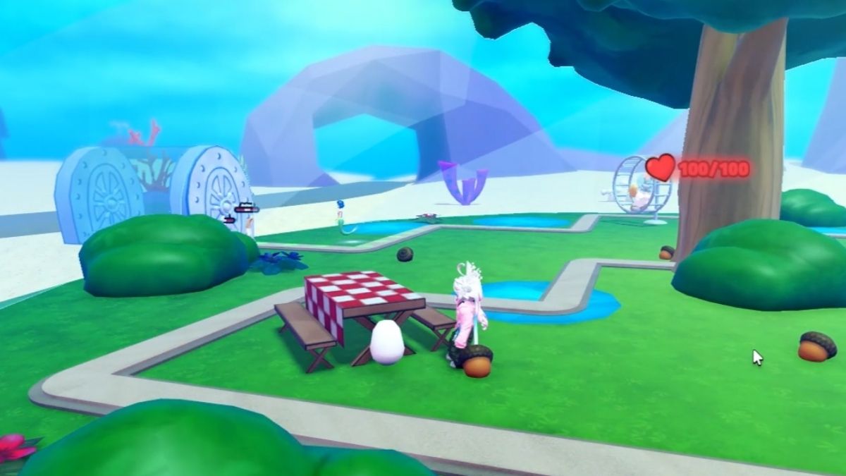 Emplacement des œufs 5