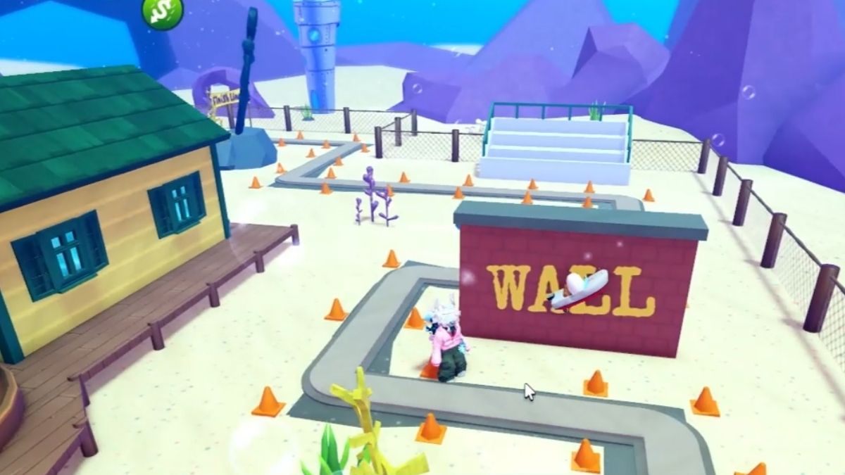 Emplacement des œufs