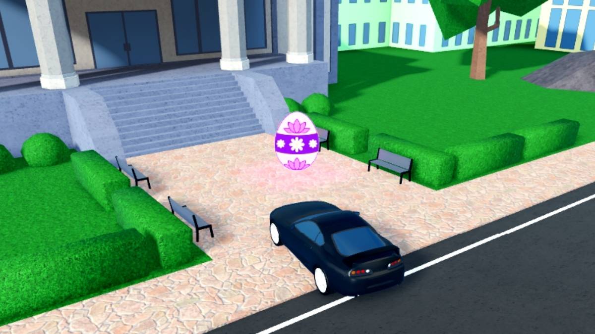 Emplacement des œufs 1