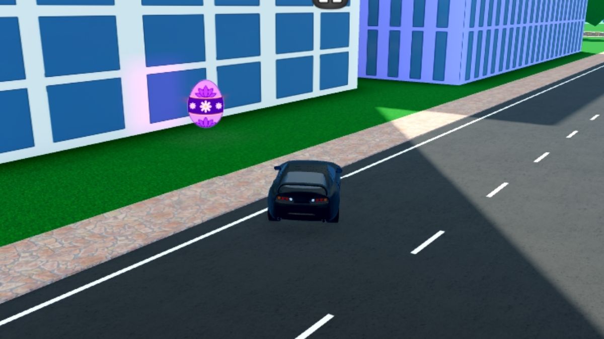 Emplacement des œufs 4