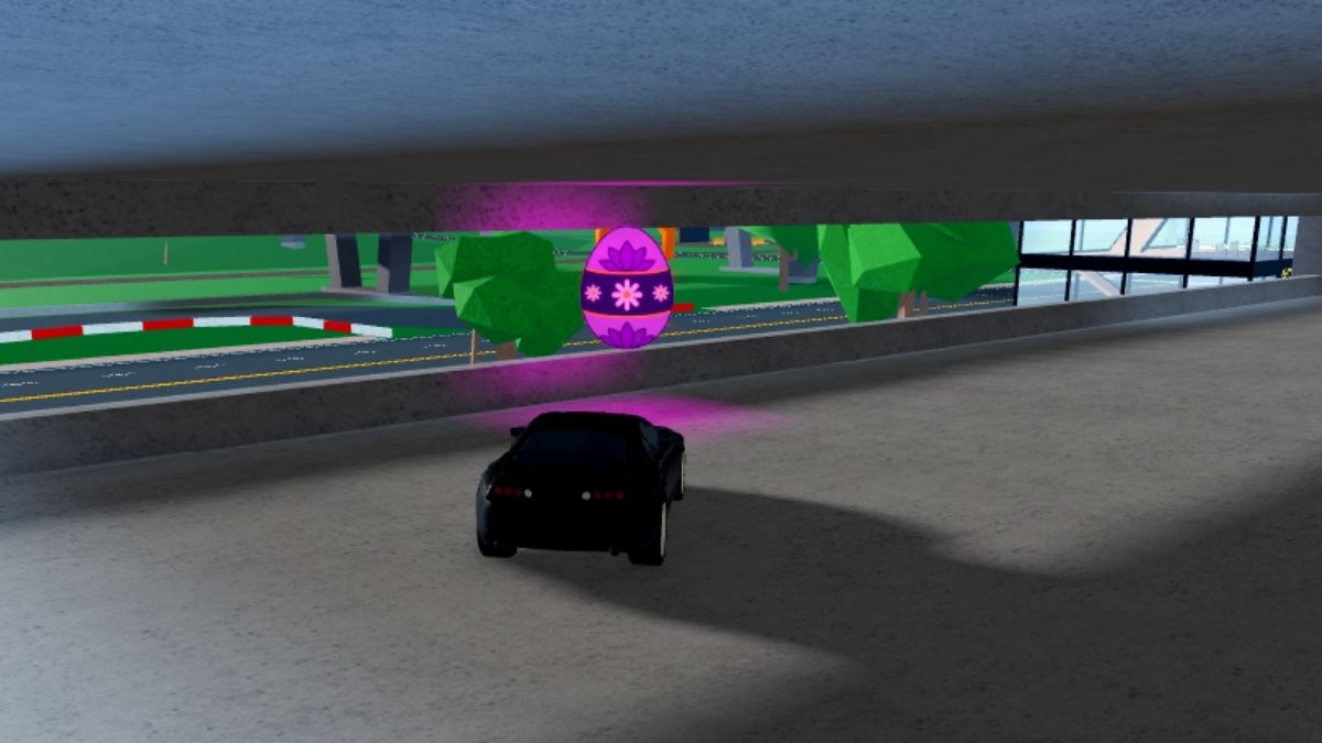 Emplacement des œufs 2