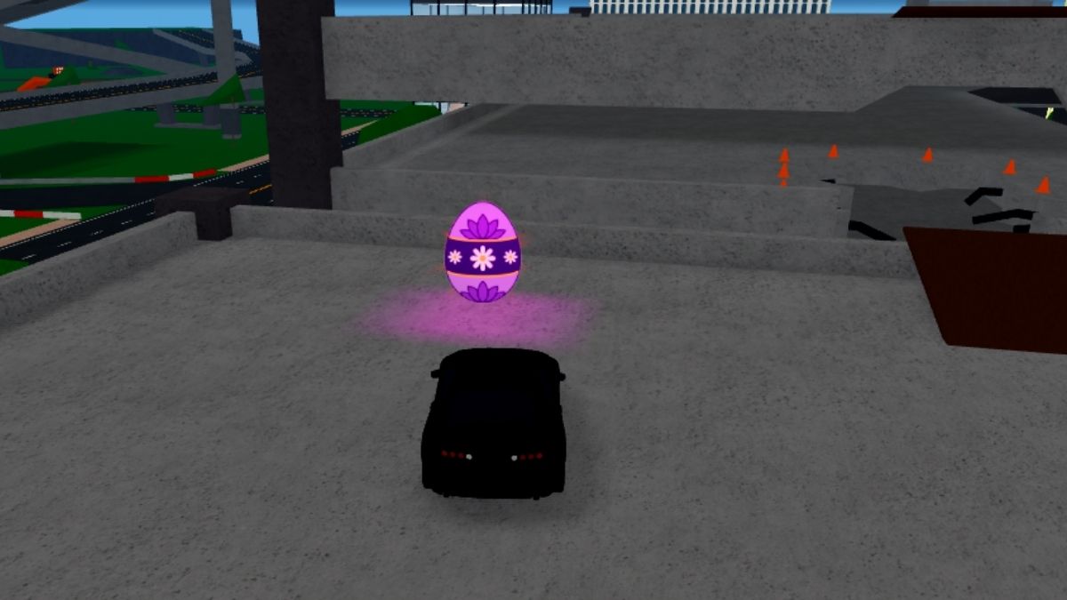 Emplacement des œufs 3