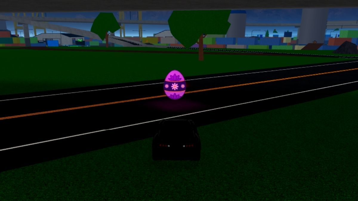 Emplacement des œufs 6