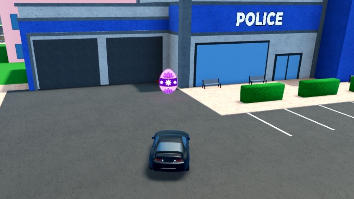 Emplacement des œufs 7