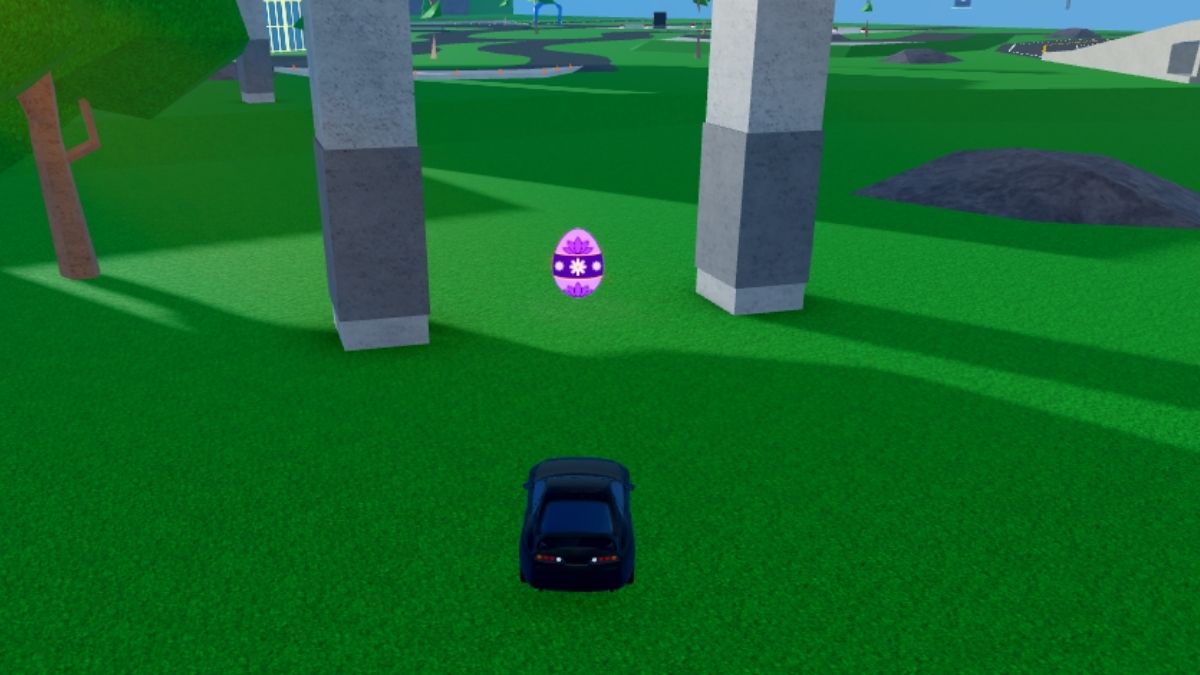 Emplacement des œufs 11