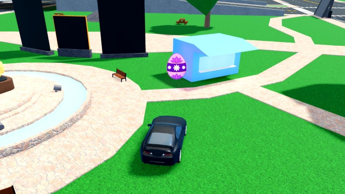 Emplacement des œufs 9