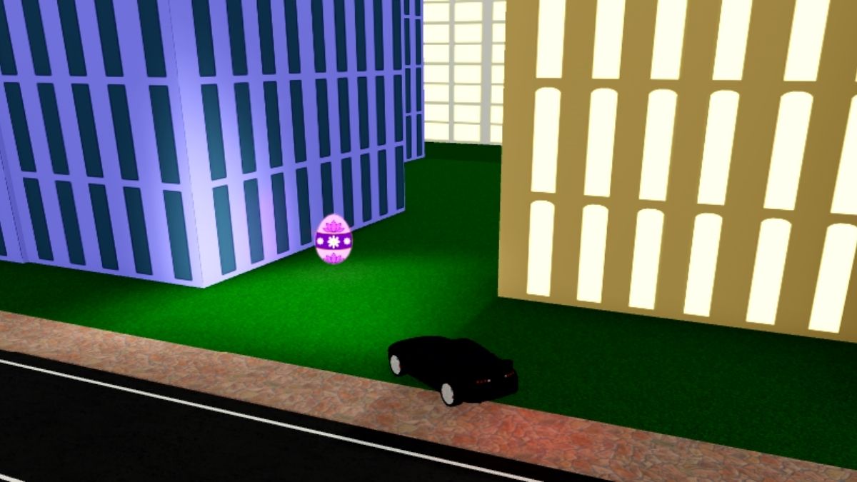 Emplacement des œufs 14