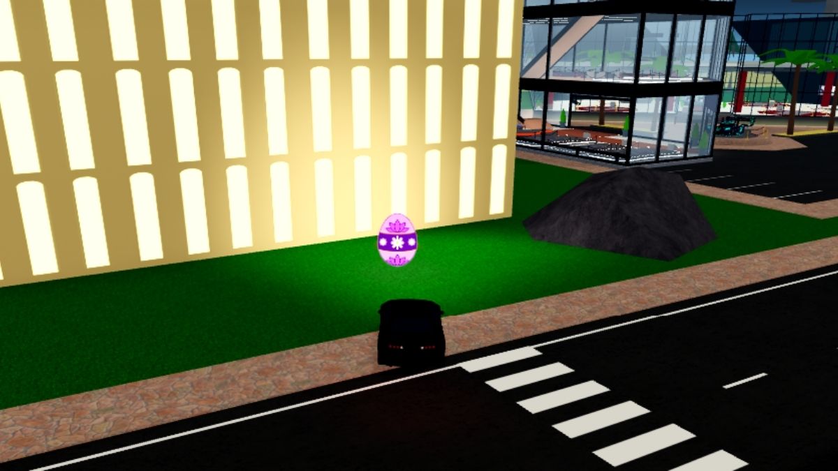 Emplacement des œufs 15