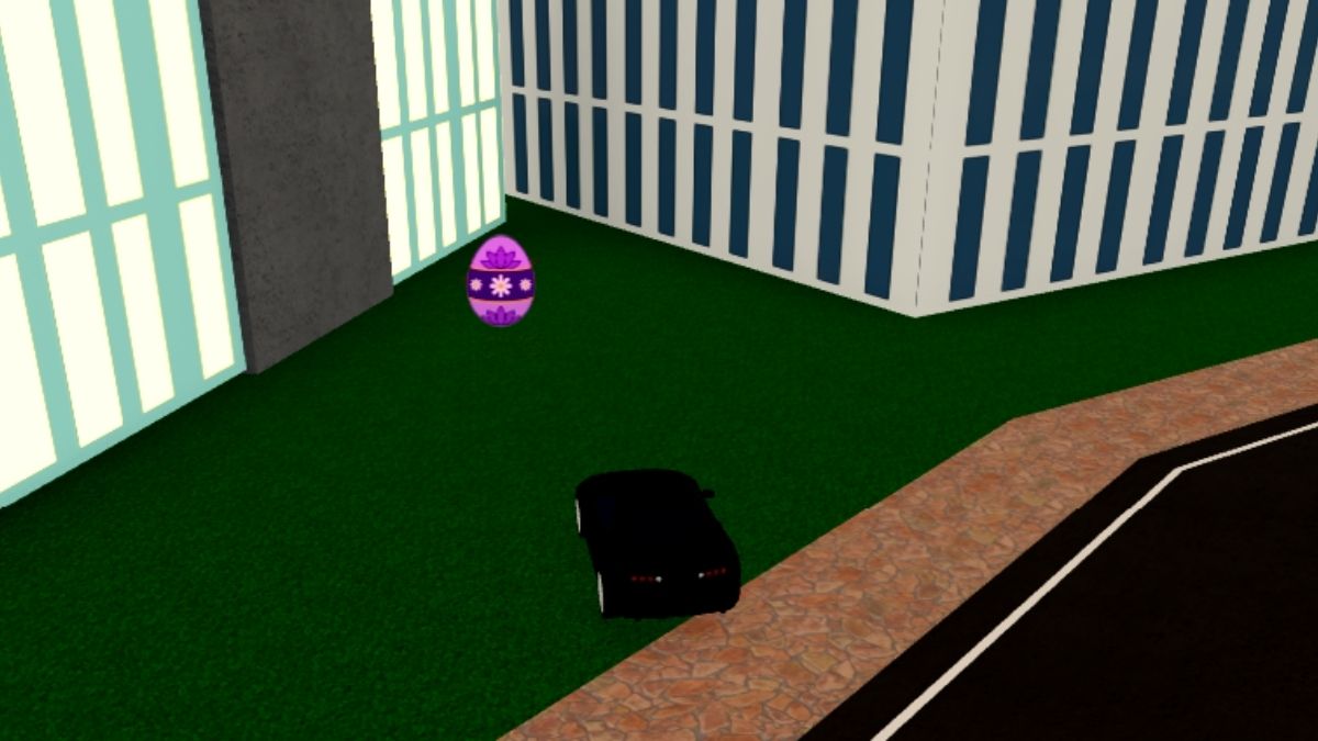 Emplacement des œufs 12