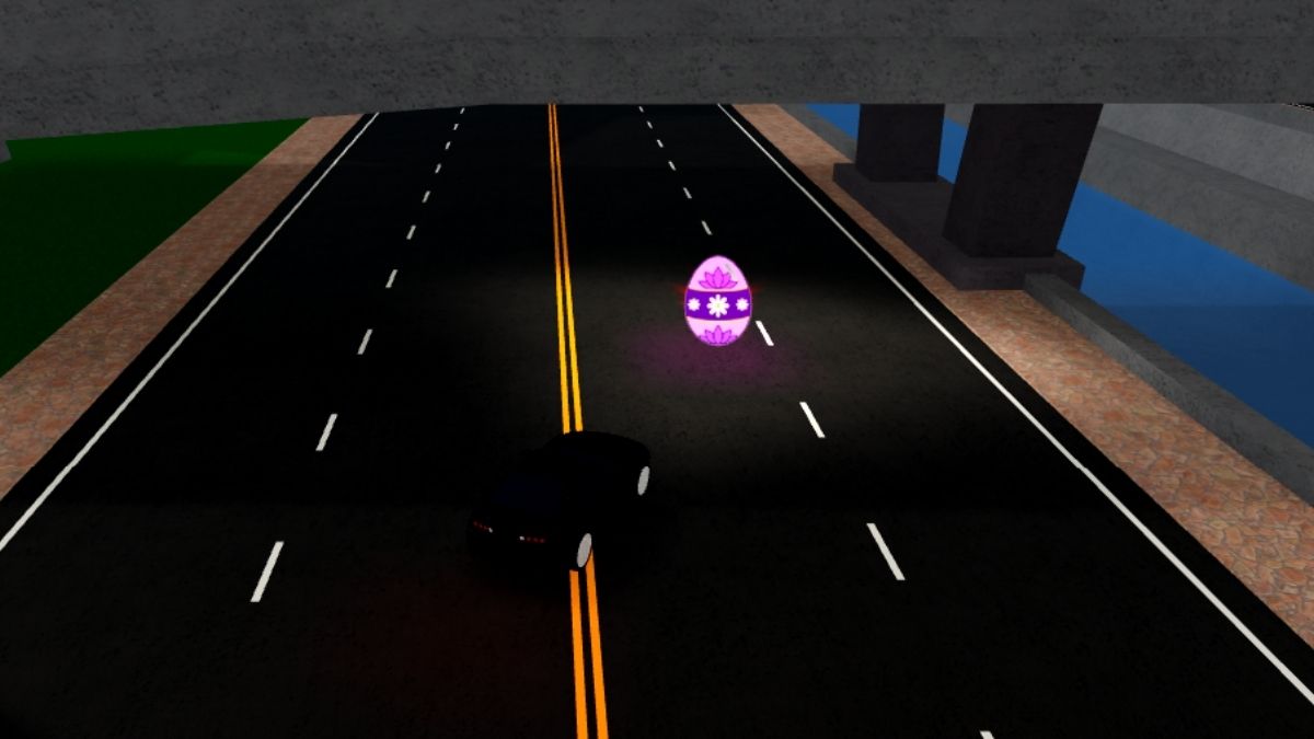 Emplacement des œufs 13