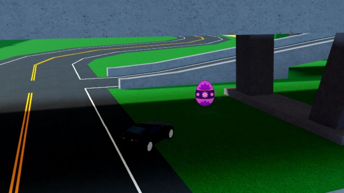 Emplacement des œufs 17