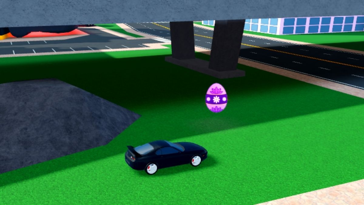 Emplacement des œufs 18