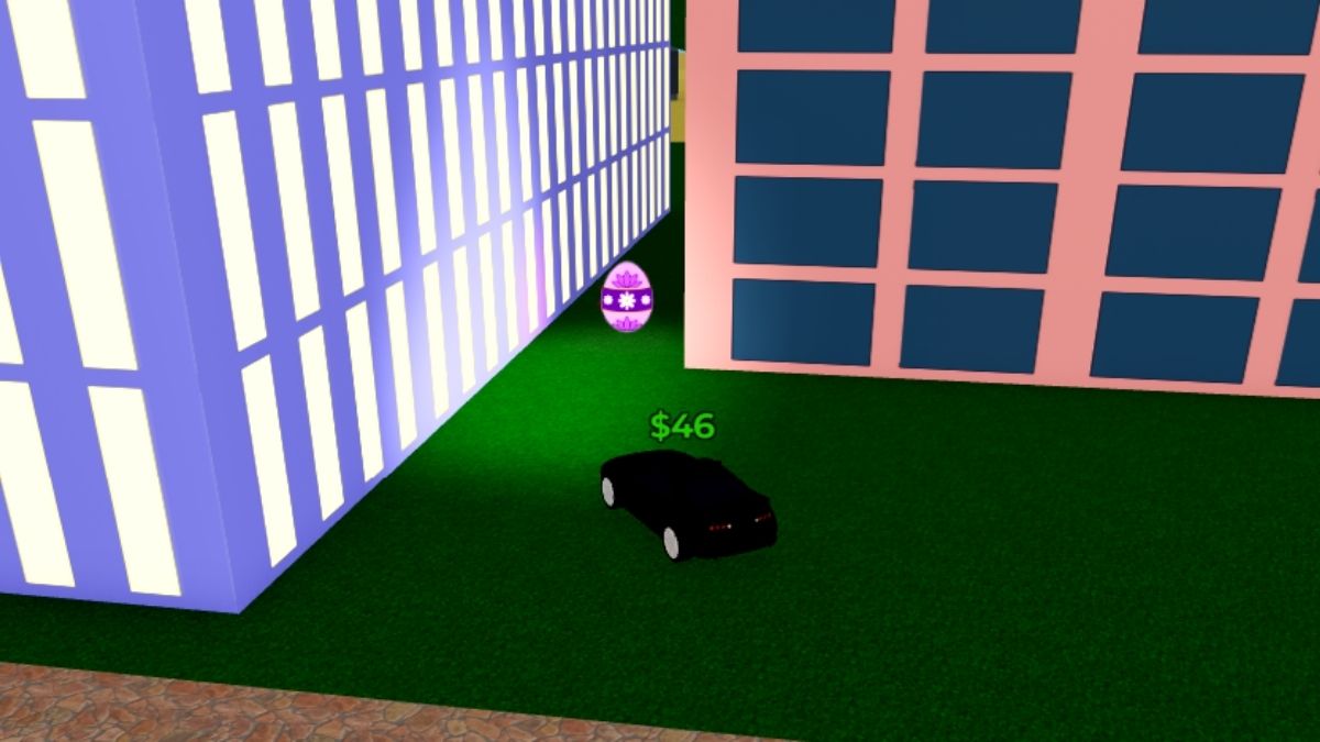 Emplacement des œufs 16