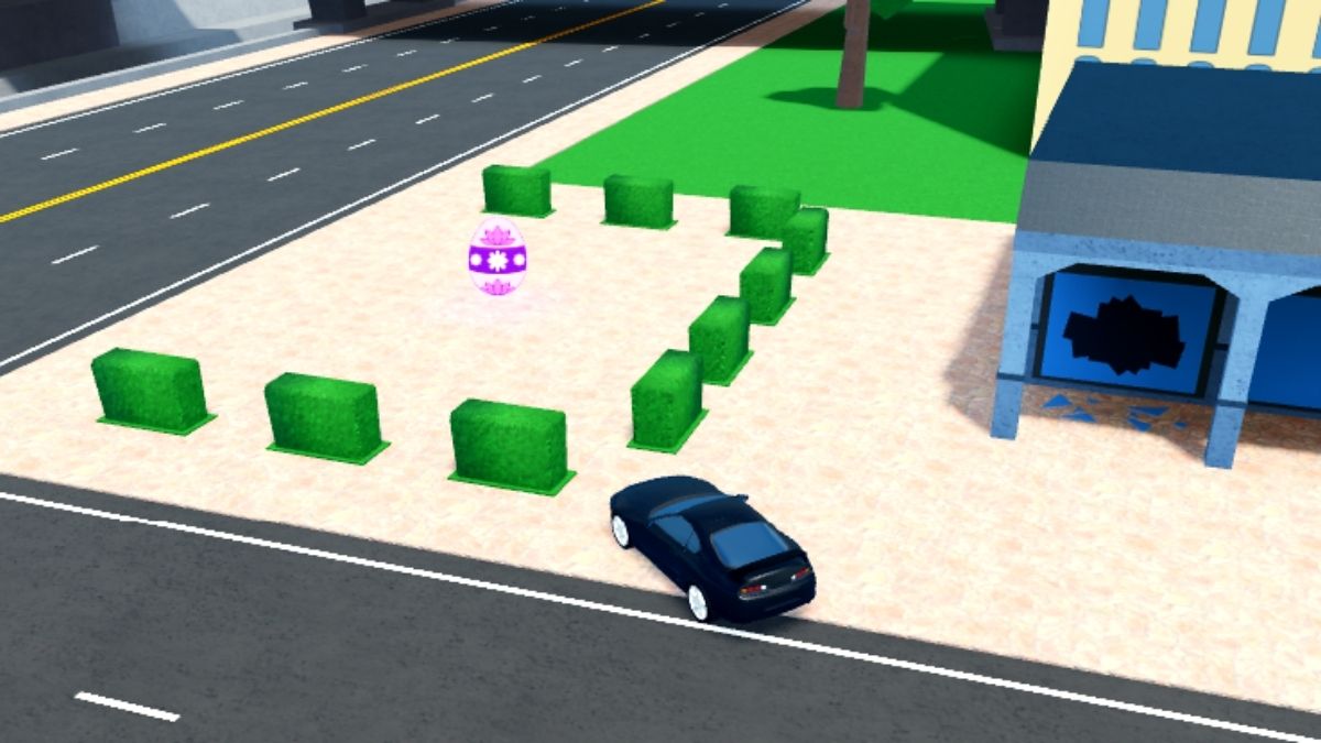 Emplacement des œufs 20