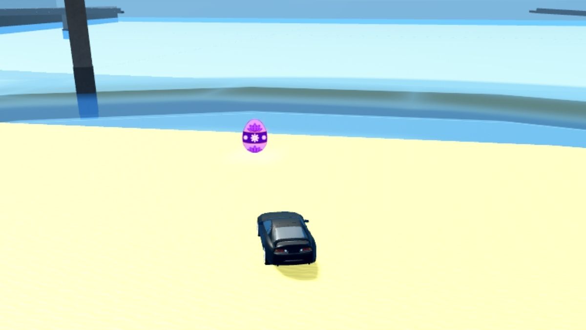 Emplacement des œufs 19