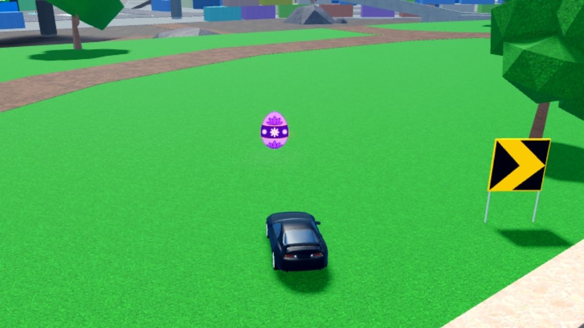 Emplacement des œufs 22