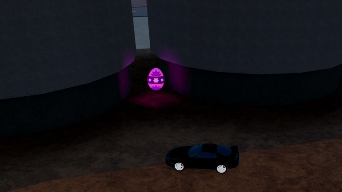 Emplacement des œufs 25