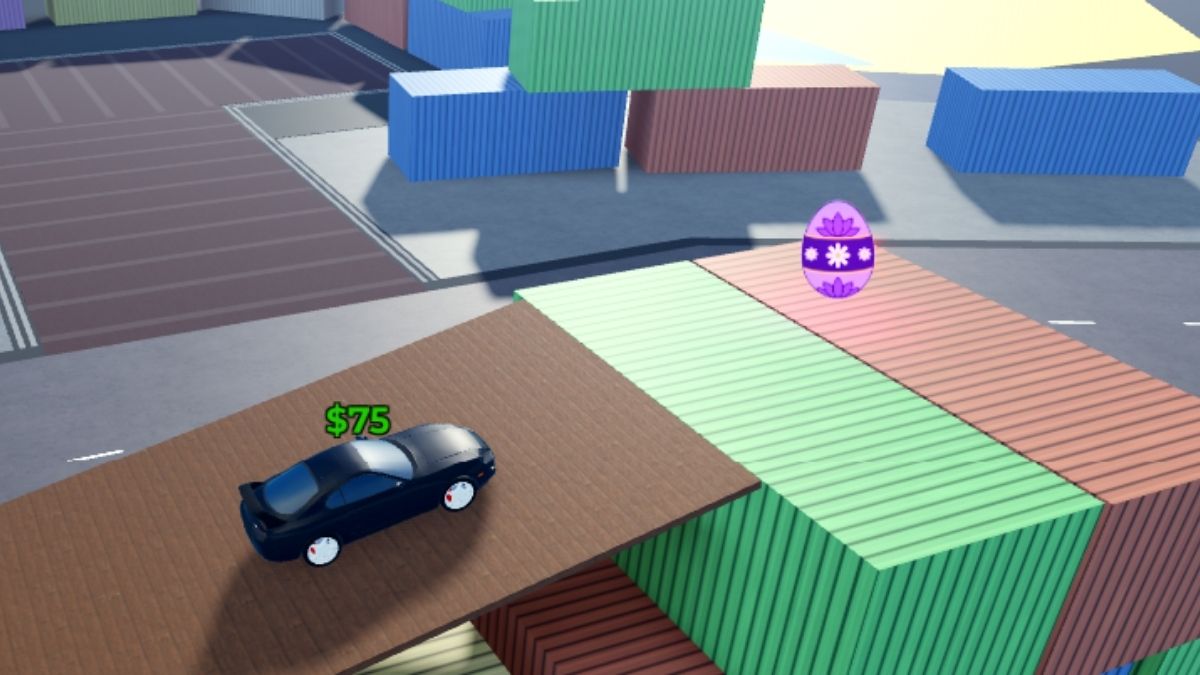 Emplacement des œufs 24